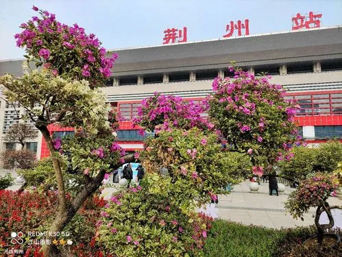 深圳到荊州貨運(yùn)公司(當(dāng)天派送）