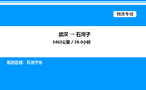 武漢到石河子物流專線-武漢至石河子貨運公司