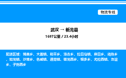 武漢到新龍縣物流專線-武漢至新龍縣貨運(yùn)公司