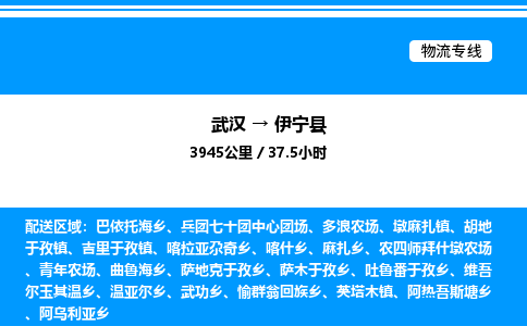 武漢到伊寧縣物流專線-武漢至伊寧縣貨運公司